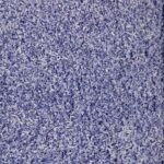 'Coco Confetti' sprinkles - Indigo Blue